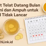 Obat Telat Datang Bulan Alami dan Ampuh untuk Haid Tidak Lancar